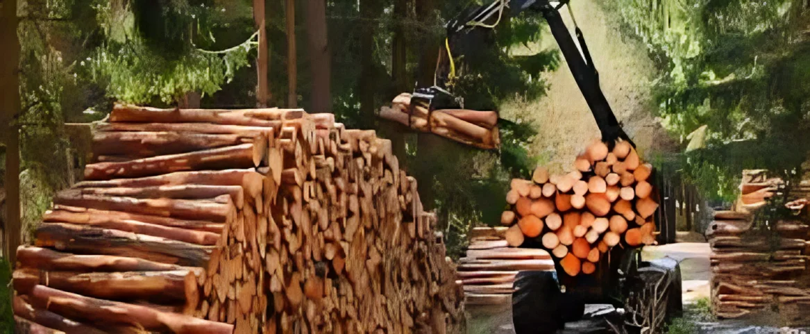 A logging machine moving stacked wood logs in the forest