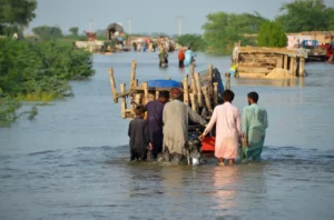 People walking through floodwater in Pakistan symbolizing reconstruction funding through Flood Levy on luxury goods