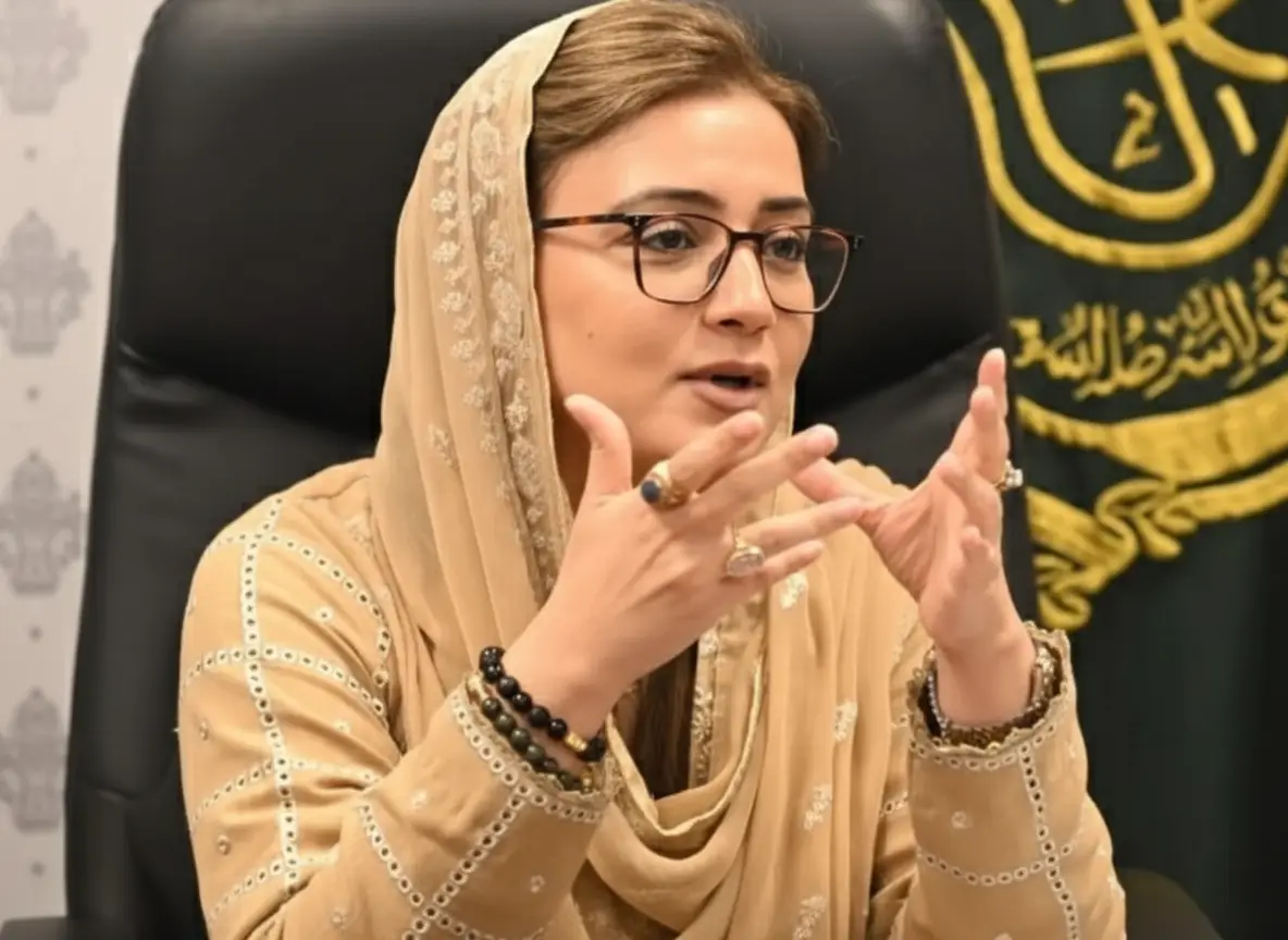 Punjab minister speaking during a briefing about the Smart Safe City project