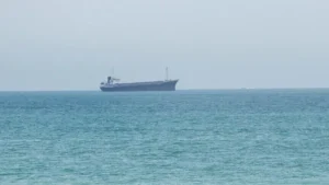 Cargo vessels sailing through the Strait of Hormuz as Hormuz Traffic declines following a vessel strike amid regional tensions.