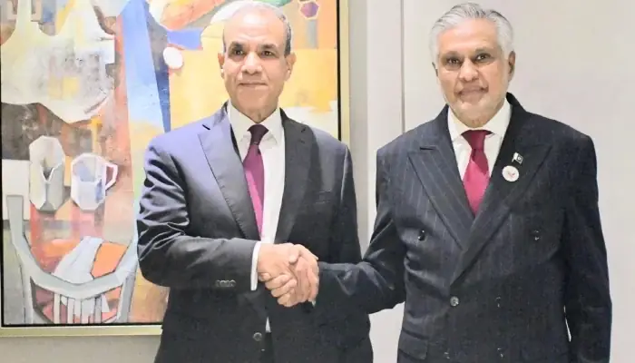 Pakistan, Egypt Reaffirm Support for Middle East De-escalation