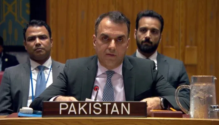 Pakistan Houthi Attacks Condemned at UNSC
