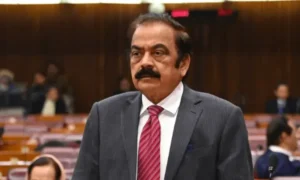 Rana Sanaullah speaks about Fazlur Rehman's remarks on martyrs during a political discussion in Pakistan.