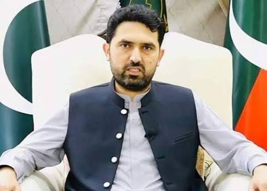 Sohail Afridi Arrest PTI Flag Police Scene